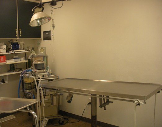 Surgical Suite