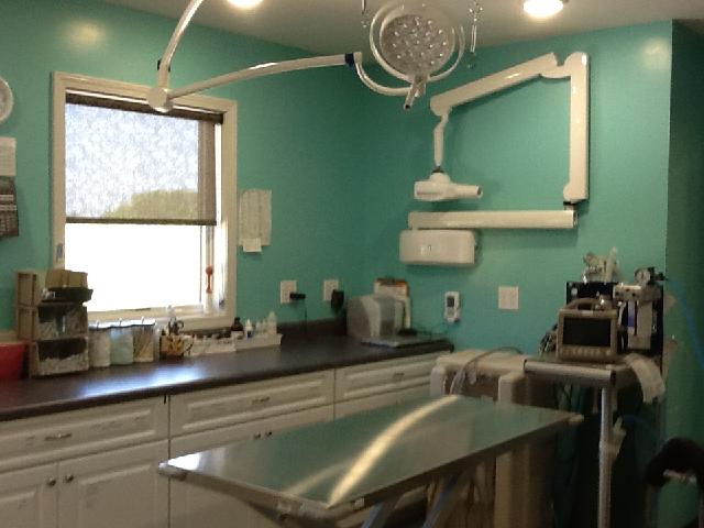 Dental area