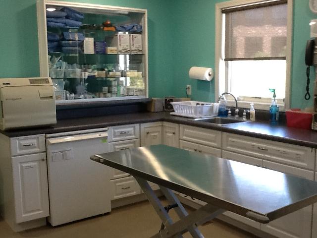 Dental/Treatment area